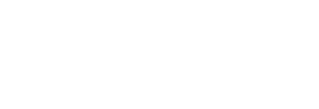 Allegiant Airlines Logo